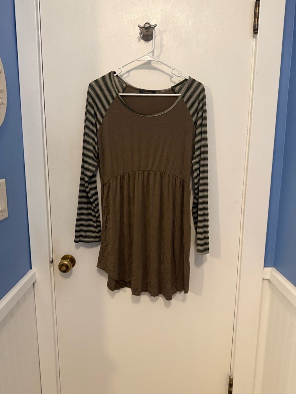 Eomenie Long Striped Sleeve Green Tunic Top/Dress